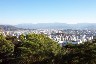 matsu1.JPG (41013 bytes)